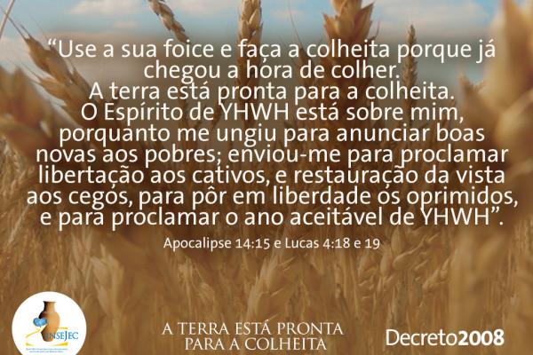 Decreto 2008